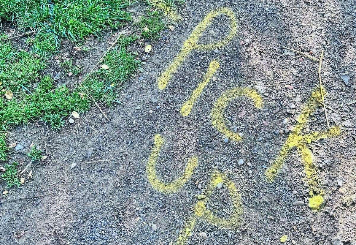 Dog poo highlighted by mystery spray painter in Milton Recreation Ground, Sittingbourne