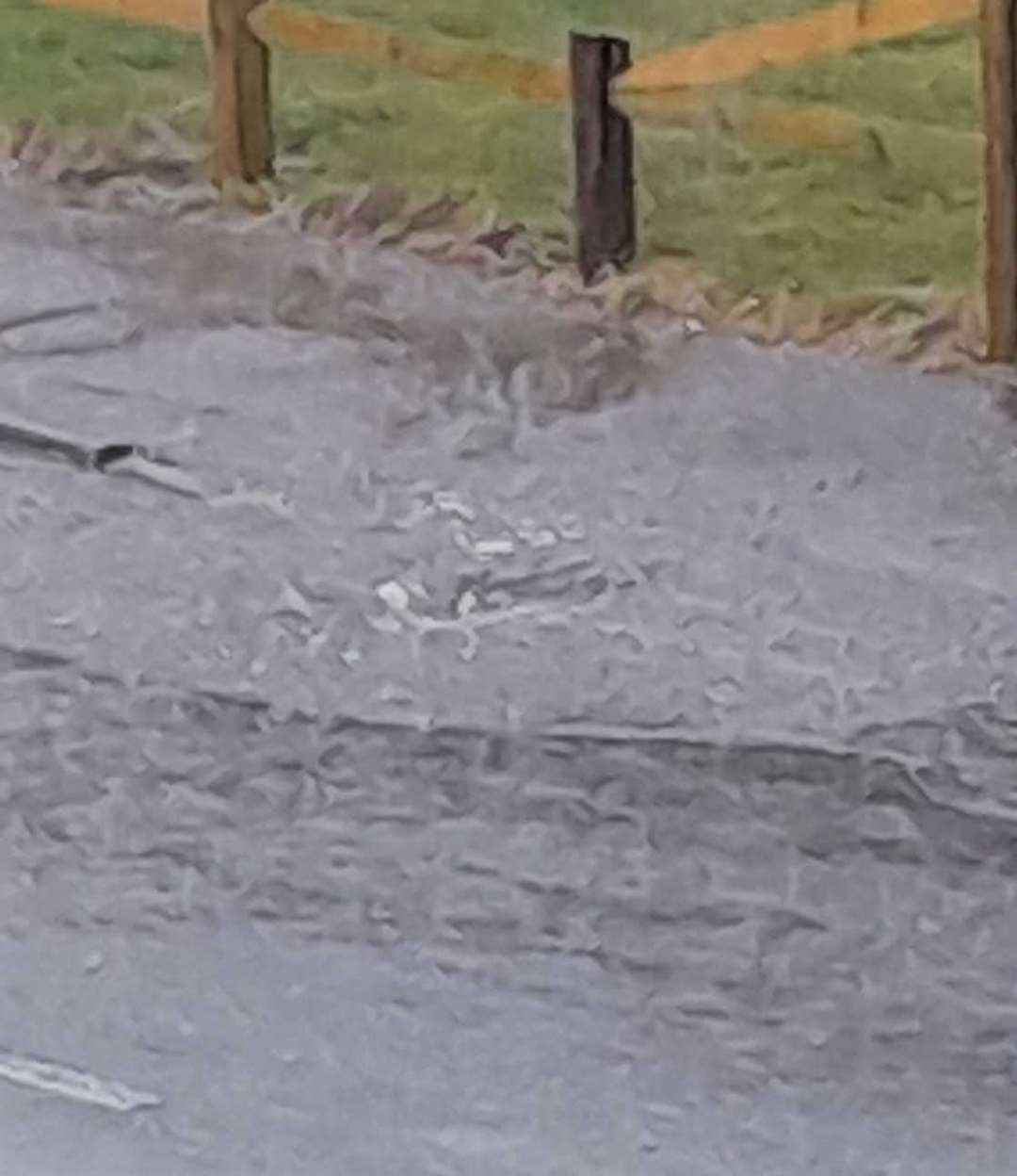 Rain was "gushing out drains" in Penshurst. Picture: Lucy Fuller-Rowell