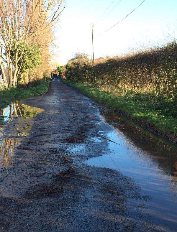 The cable went along the road and into the puddle, electrocuting Bonnie