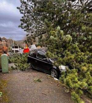 Fortunately, no-one was in the vehicle. Picture Peter Philips