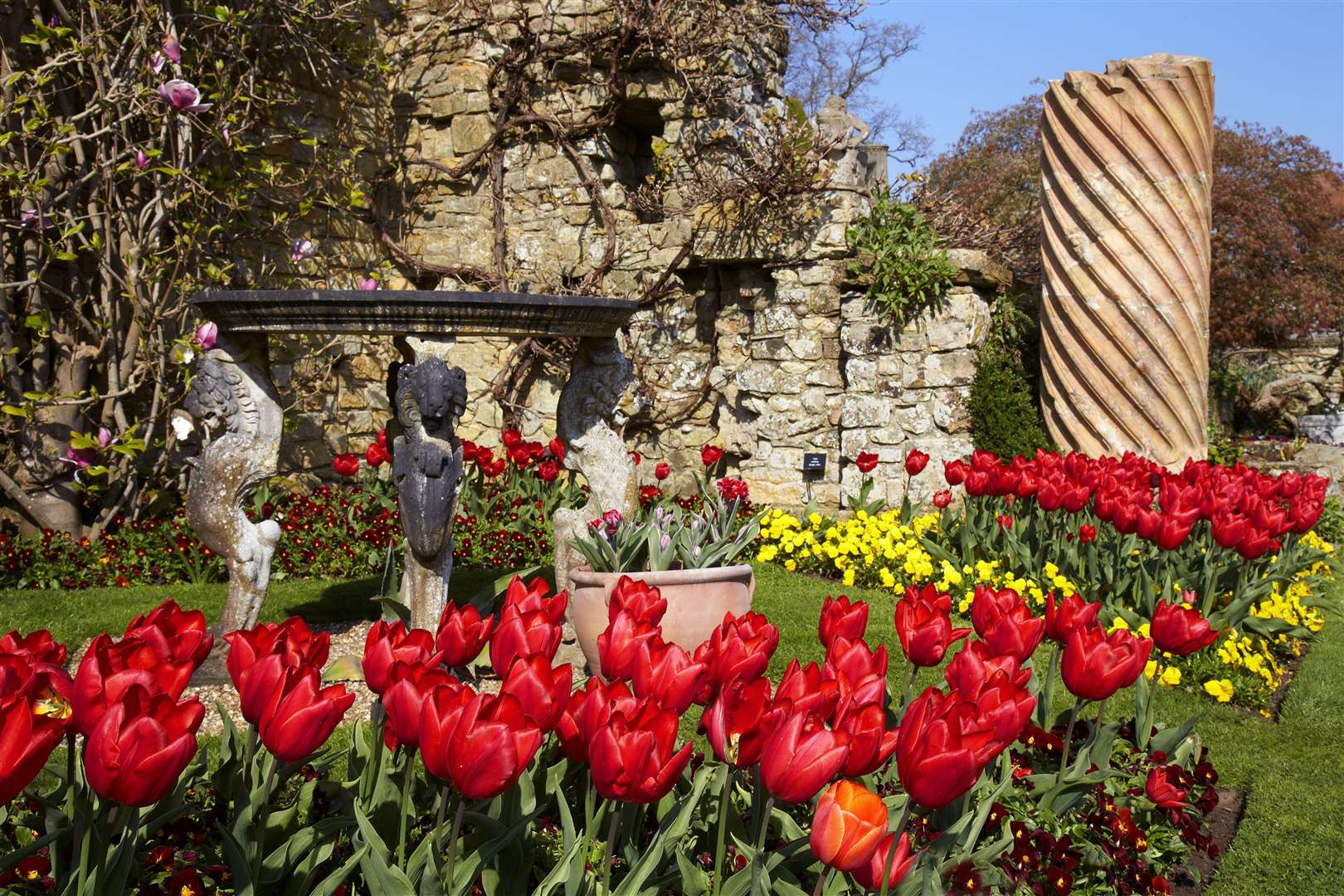 Hever is working hard to protect spring's tulip bulbs from the wildlife