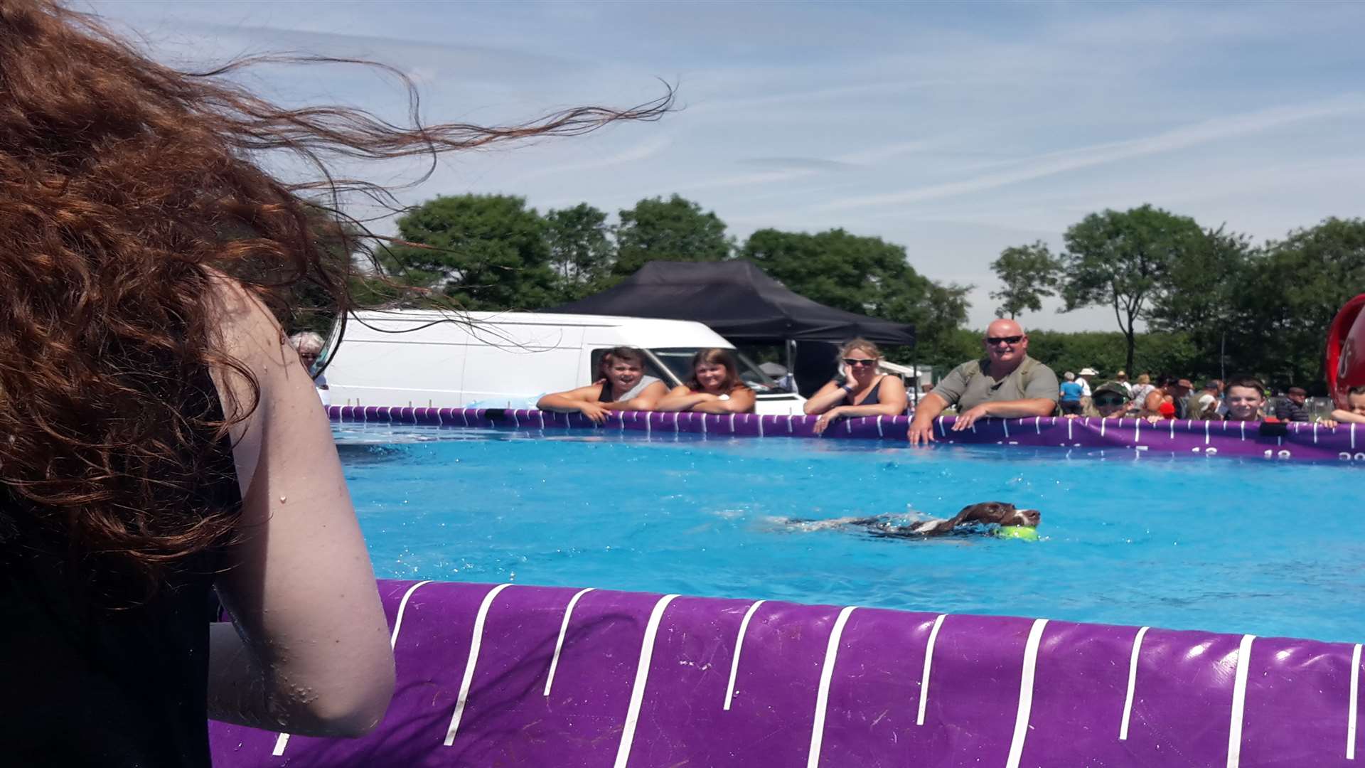 Dog agility displays left some canines lapping up the cool water