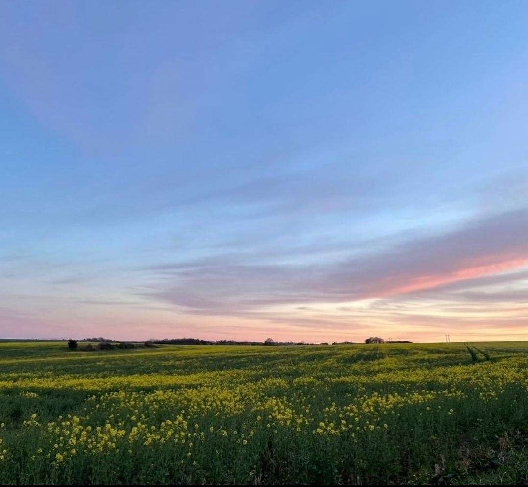 The proposed field for the airstrip. Picture: Chocks Go Away