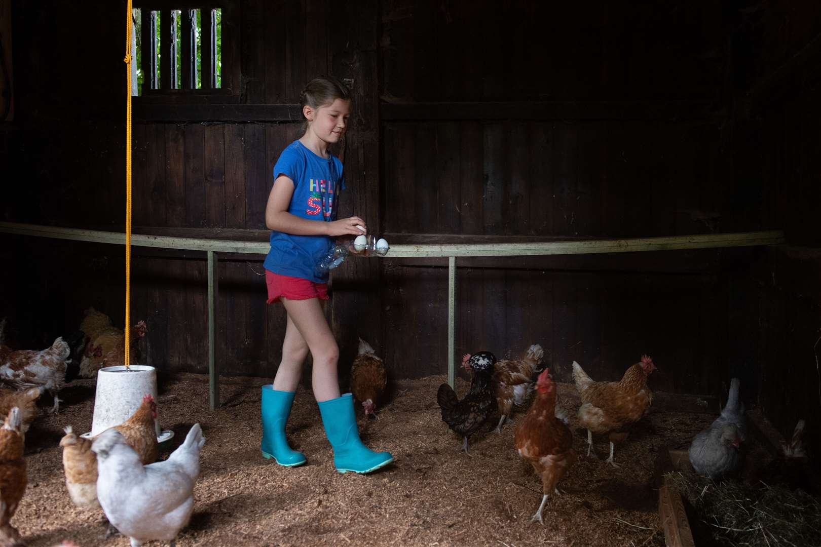Lucy collects eggs from her rescued battery hens (Joe Giddens/PA)