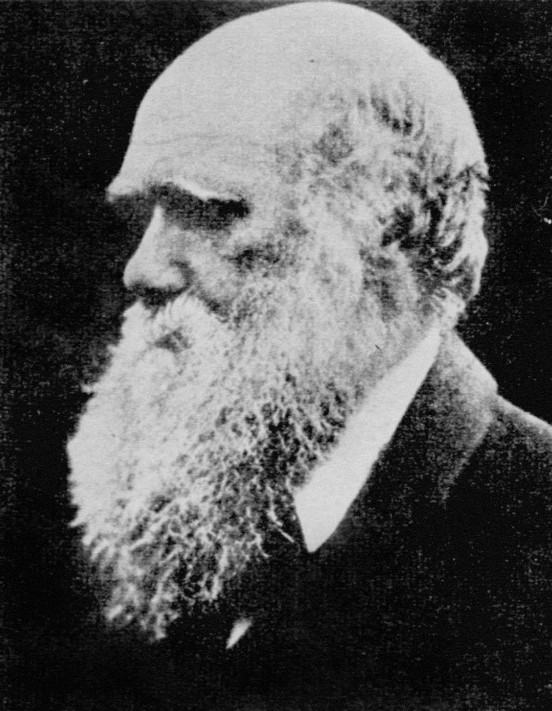 Naturalist Charles Darwin (PA)