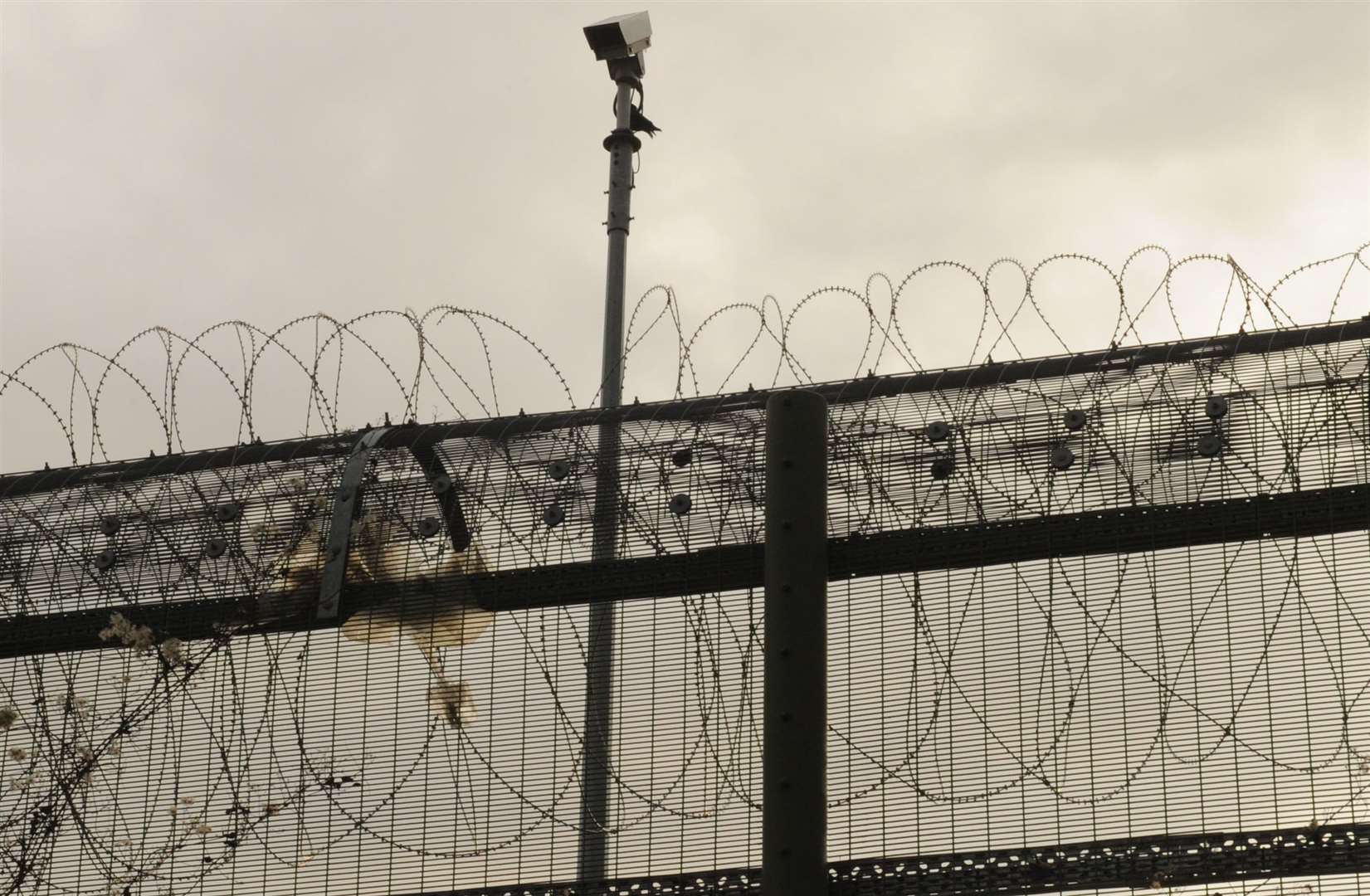 Jared Ismail was coerced into bringing drugs into a jail after receiving threats from prisoners