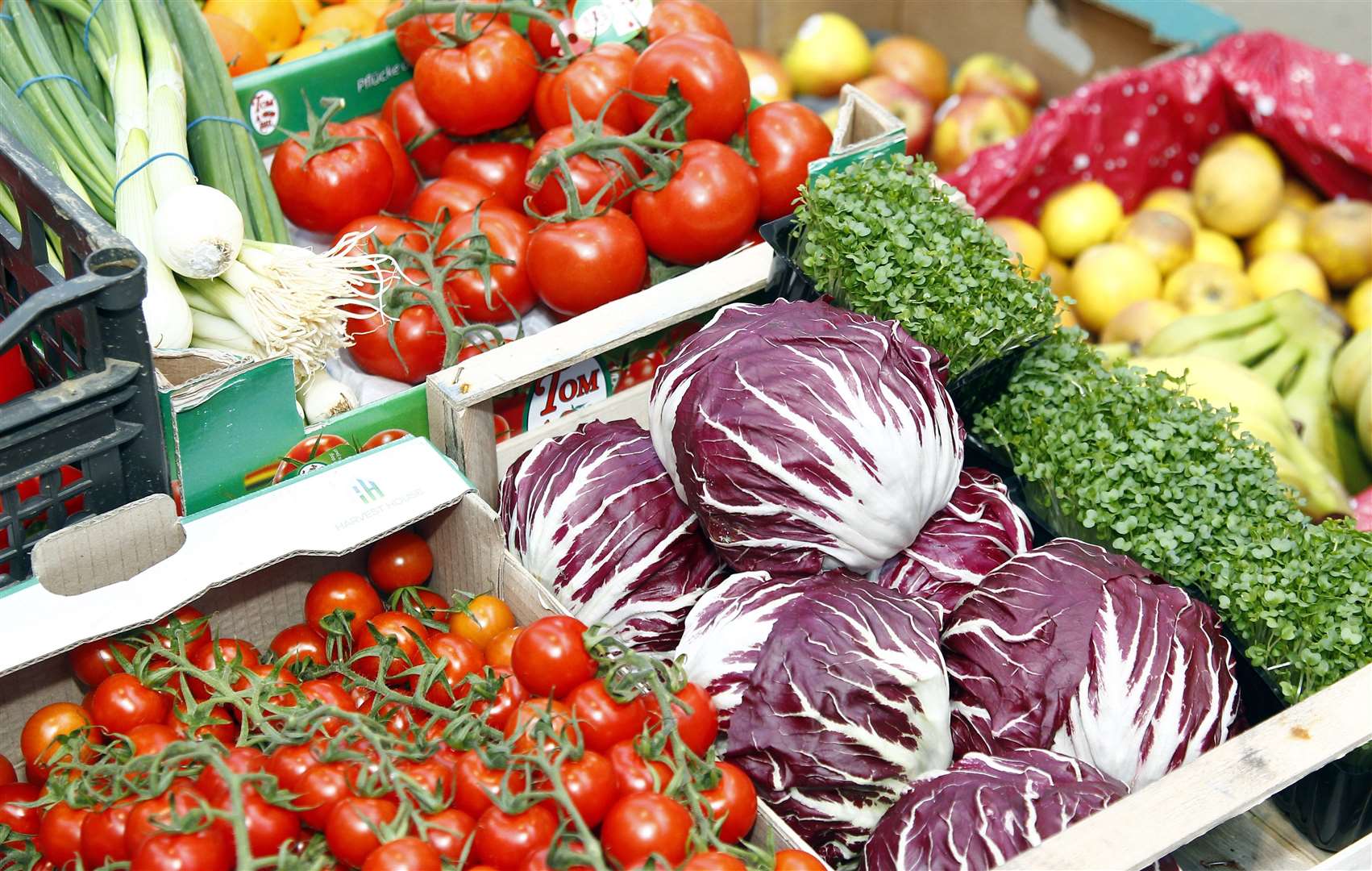 Gravesham Borough Market, first Saturday fresh produce market. Picture: Sean Aidan.