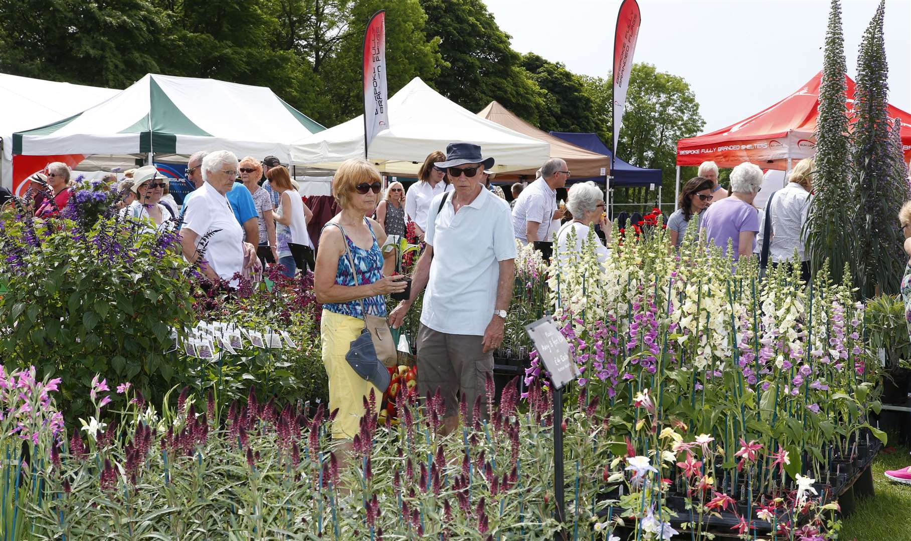 The event will feature over 300 exhibitors - which will include medal winners from Chelsea - with floral marquees and their stunning floral displays as well as around 60 nurseries. Picture: Andy Jones (9600903)