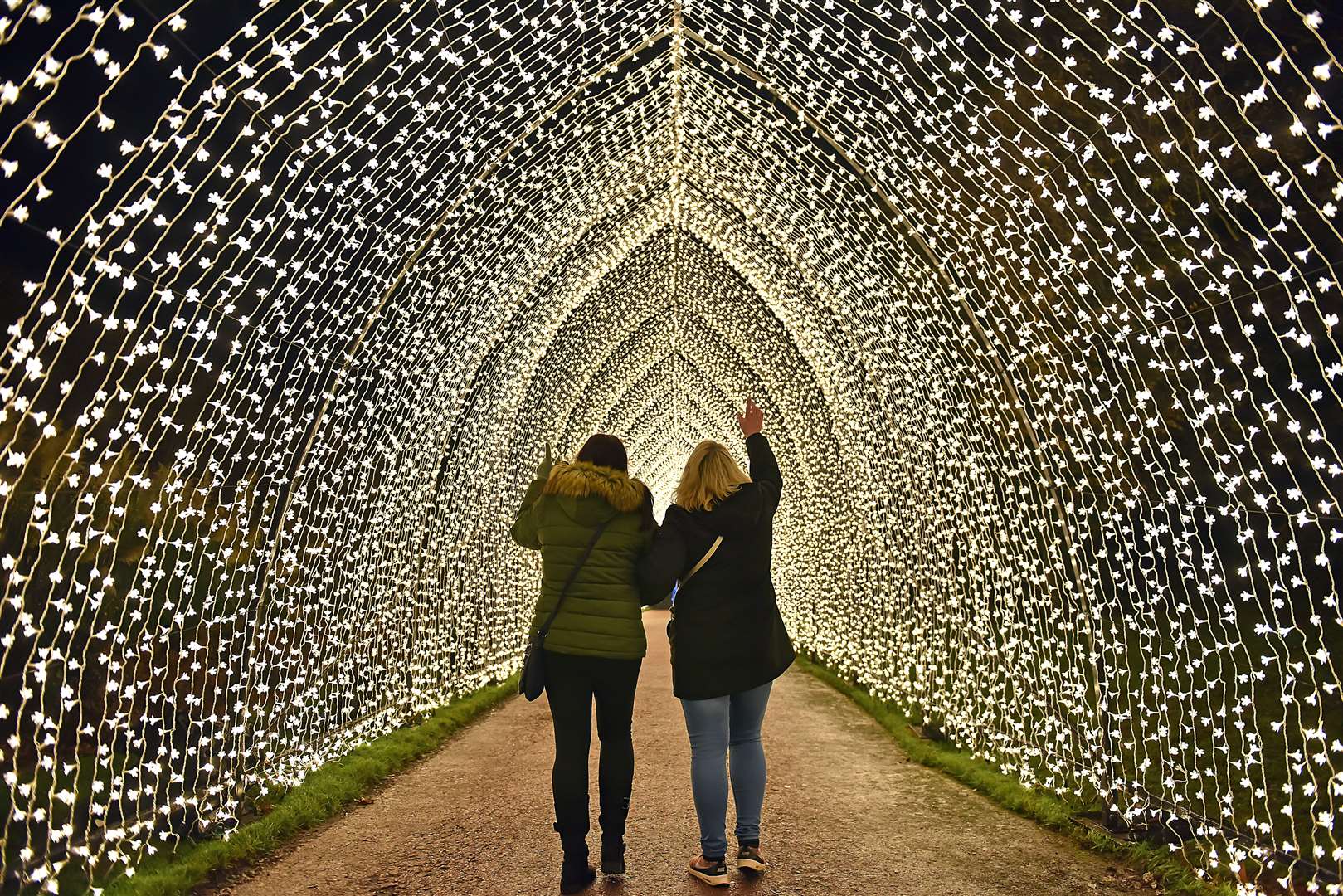 Bedgebury will have a tunnel of lights Picture: Christmas at Bedgebury
