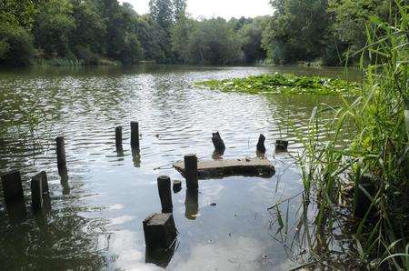 Reed Pond, Canterbury