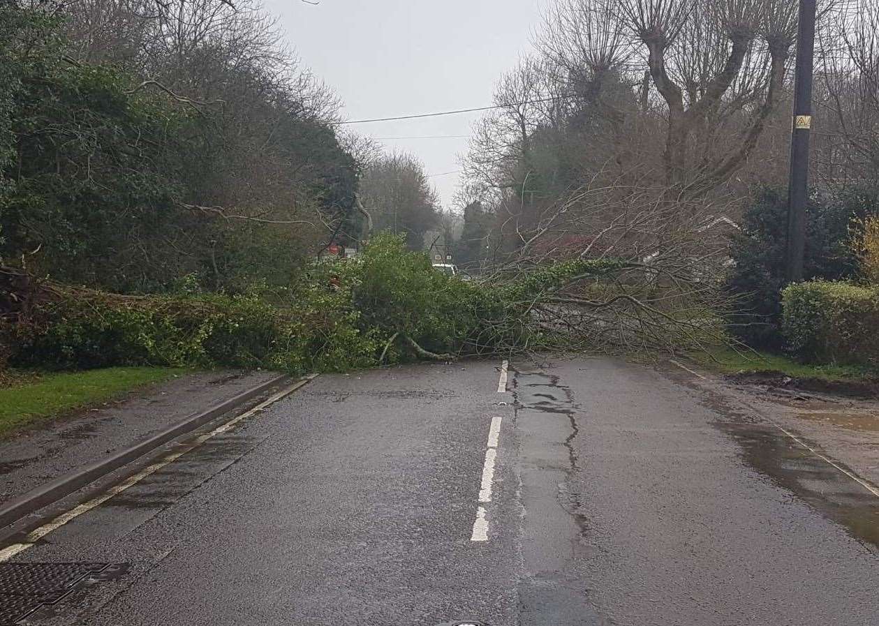 It blocked the path for traffic