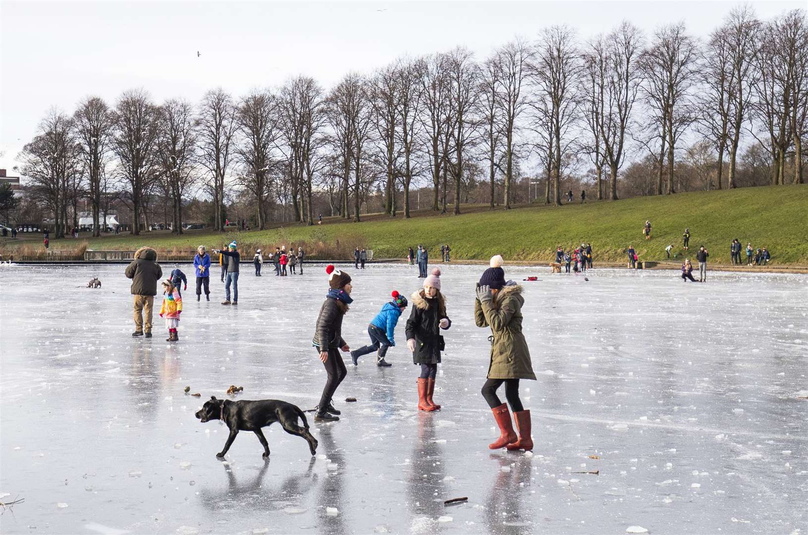 The cold temperatures allowed people to walk their dogs across a frozen pond in Edinburgh (Jane Barlow/PA)