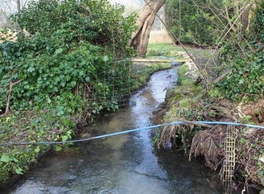 The Goddington chalk stream