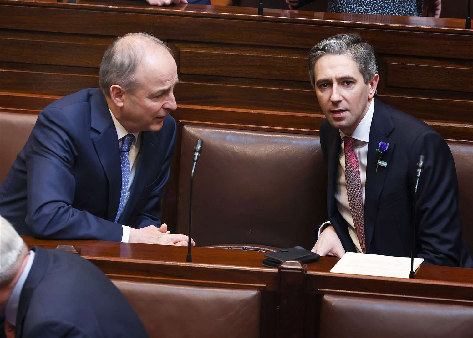 Simon Harris talks to Tanaiste Micheal Martin in the Dail Chamber (Maxwell Photography/PA)