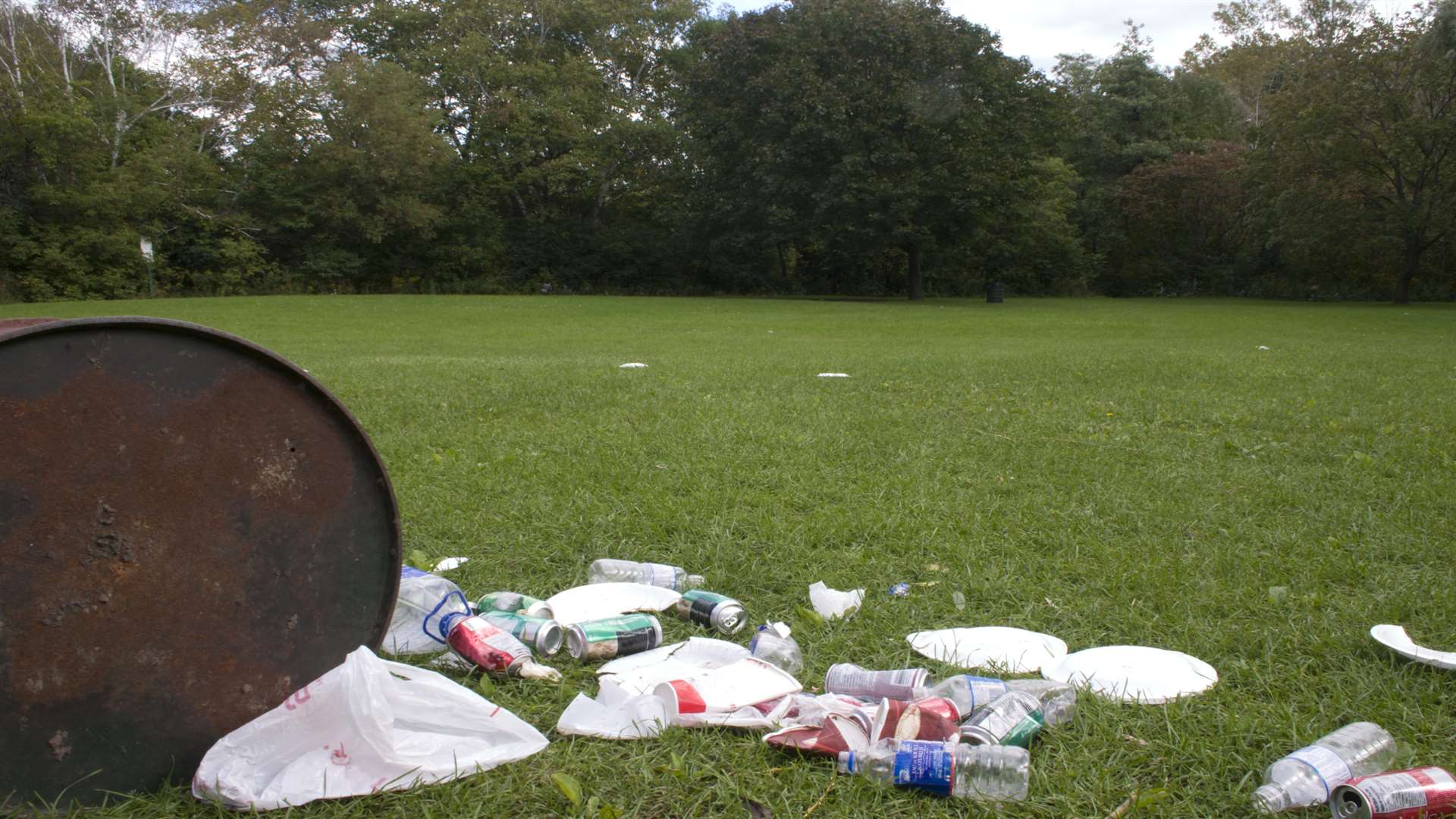 Litter. Stock pic