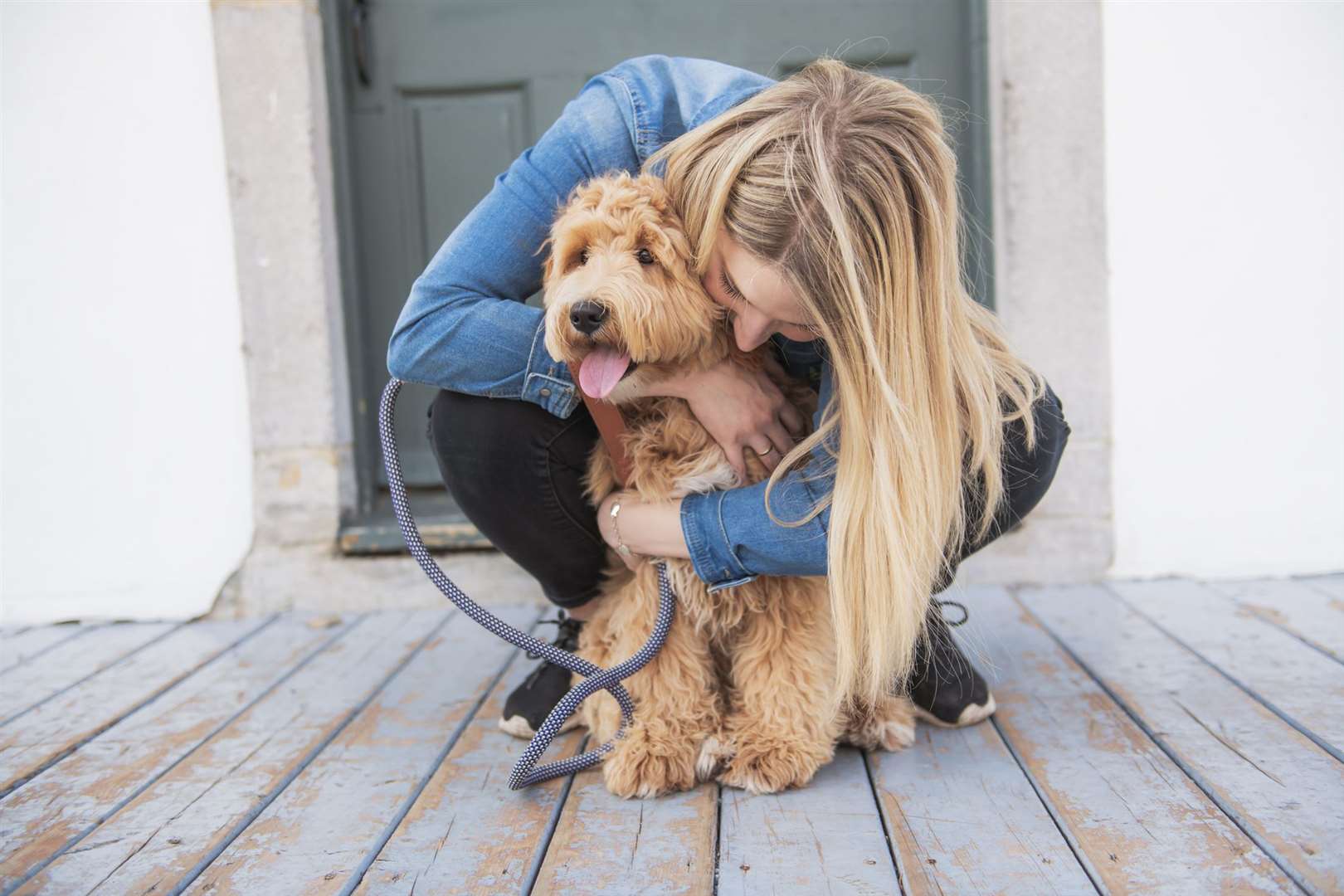 Does my dog like me? With animal behaviour expert Karen Wild