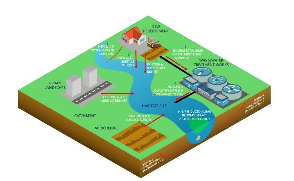 A Natural England graphic showing how the rivers are polluted. The 'N' and 'P' represent nitrogen and phosphorus. Picture: Natural England