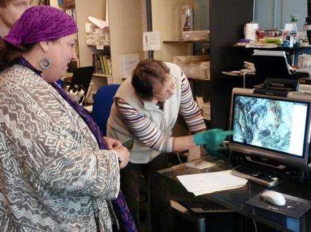 Conservation manager Dana Goodburn-Brown and volunteer Shirley Potter looking into the eyes of a 1,400-year-old wasp-type insect.