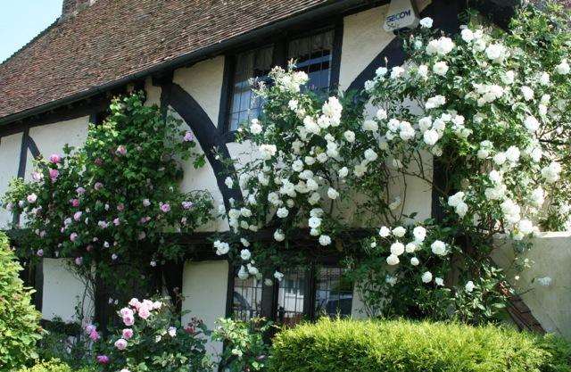 A pretty garden at the recent open gardens event at Newnham