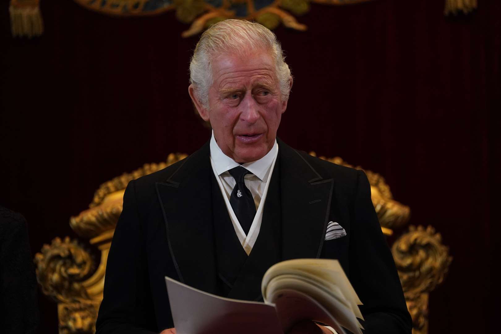 King Charles III during the Accession Council at St James’s Palace (Victoria Jones/PA)
