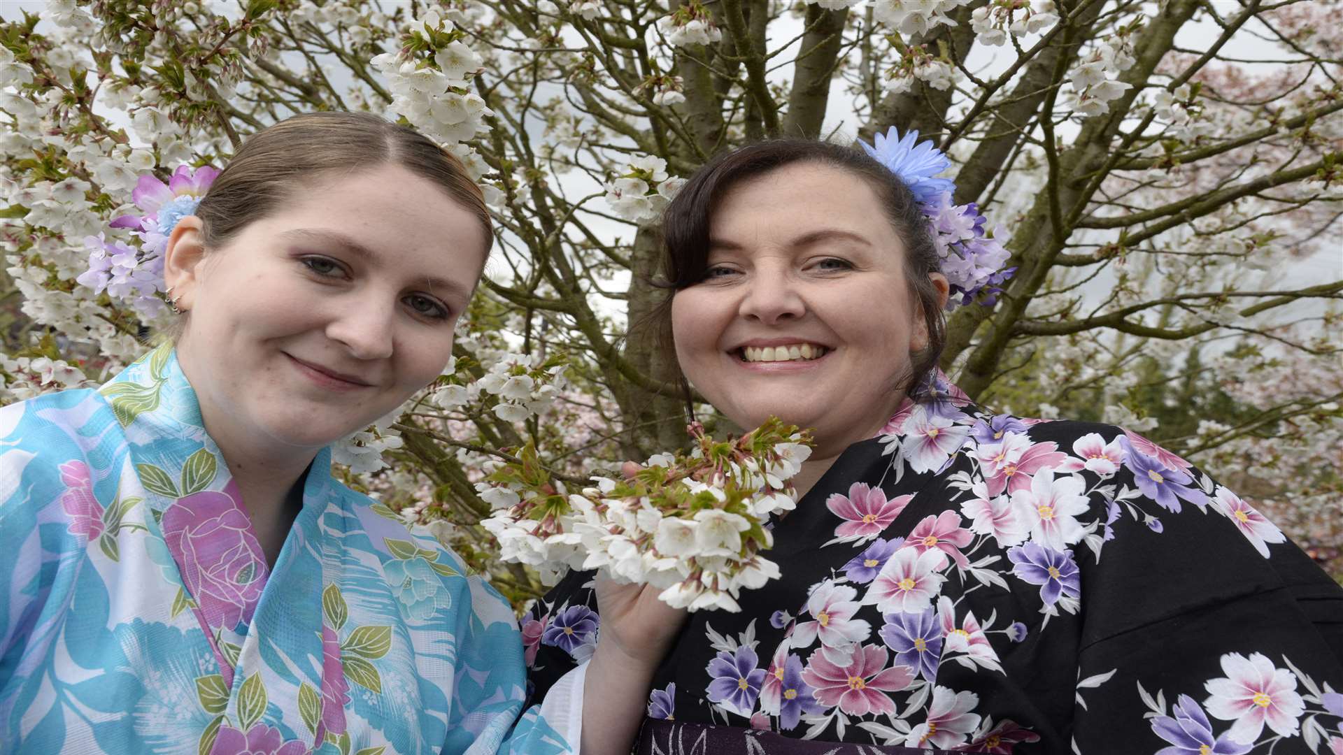 Brogdale's Hanami Festival