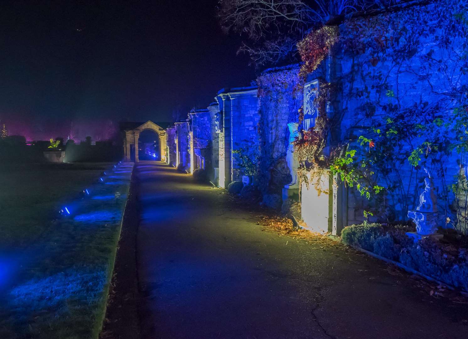 Christmas at Hever Castle with an illuminated trail, huskies, Father