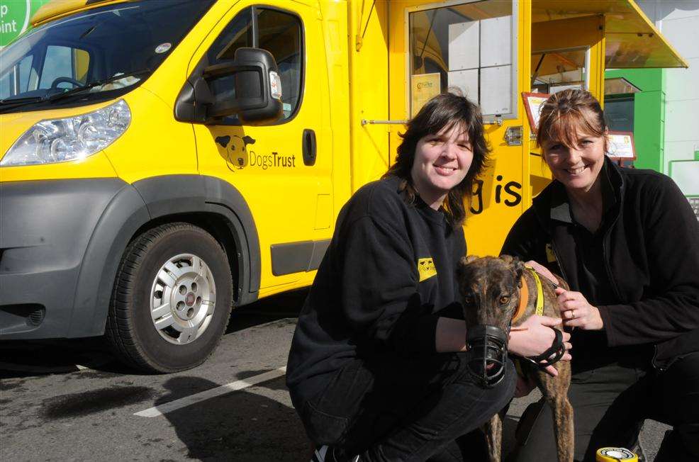 Laura Nicholas, Noisy the Greyhound and Cathy Walter from the Dogs Trust