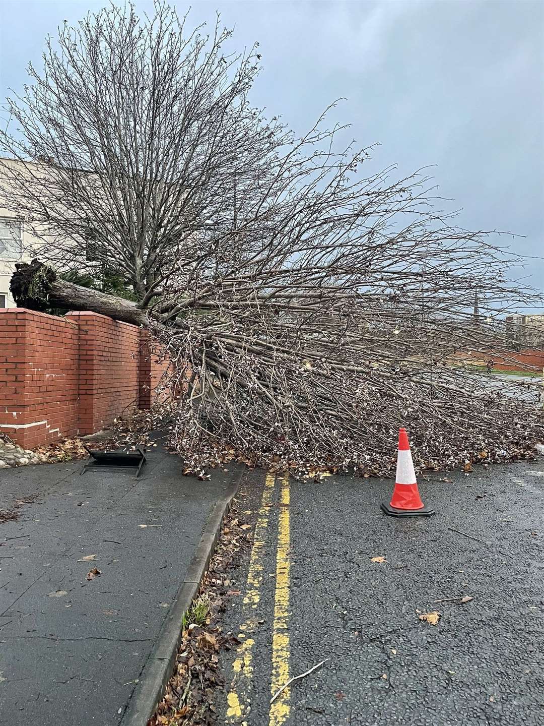 A fallen tree in St Johns Road, Bristol, following the high winds (Olivia Amey/PA)