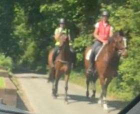 A car having to pull into the only space available to let horses pass in Walnut Hill Road, Istead Rise