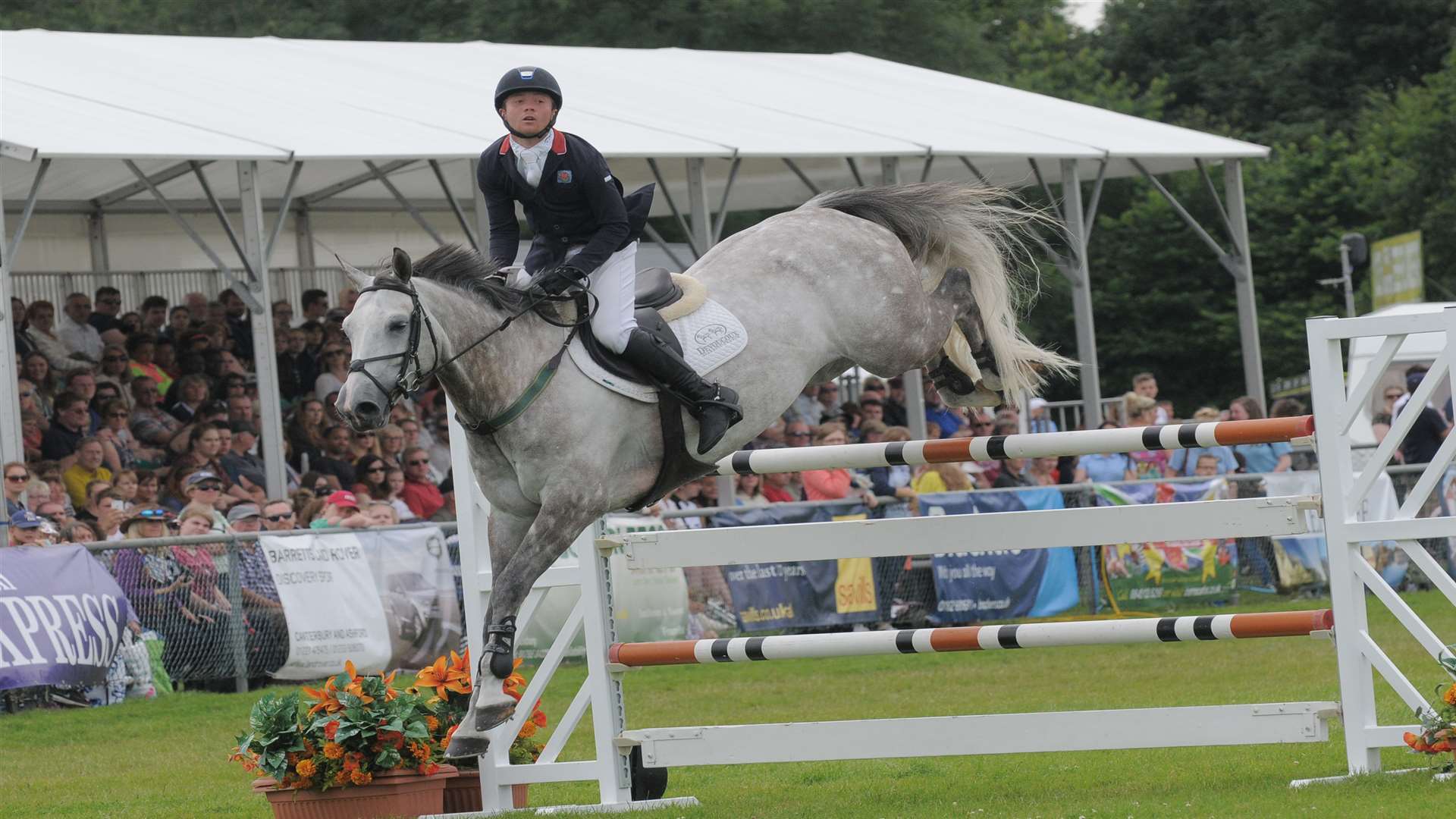 Showjumping in the Astor Ring