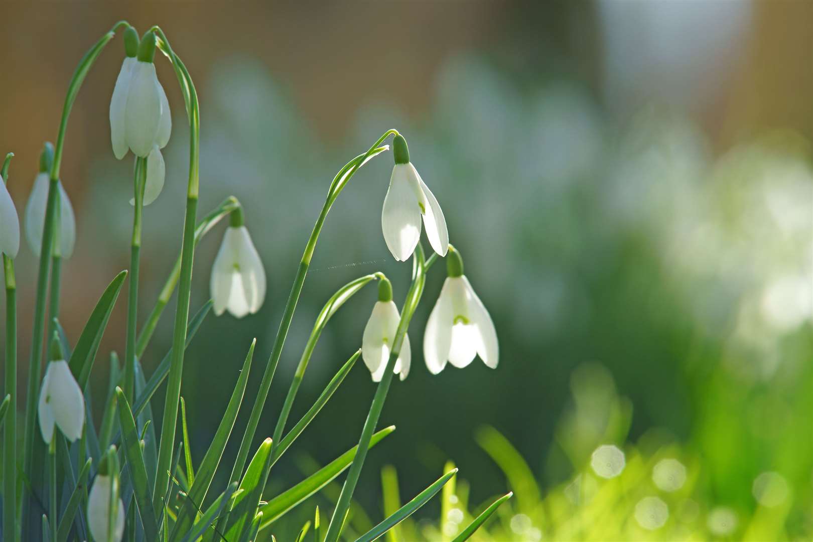 February has been named the driest for 30 years but winter isn't over yet