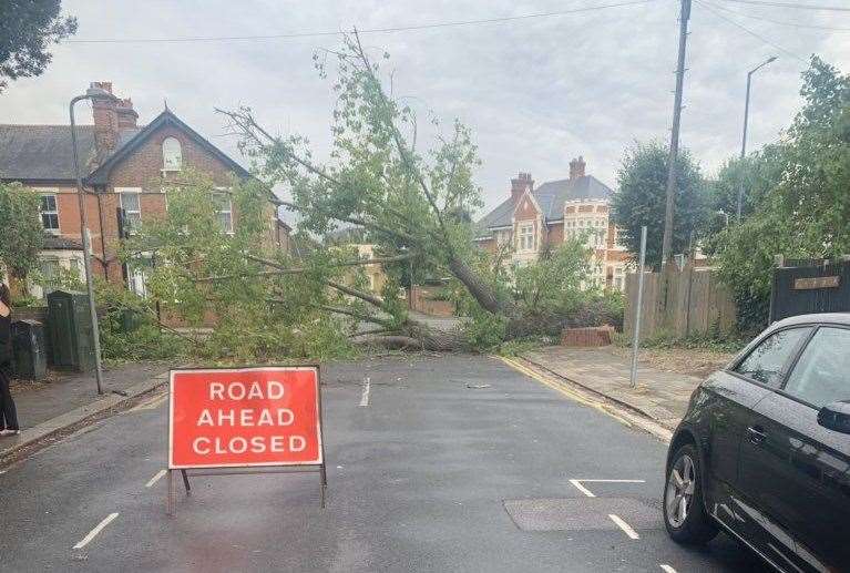 Kent Police have set up a partial road closure in Pelham Road, and the junction of Grange Road, after a tree fell down. Picture: Kent Police (13987128)