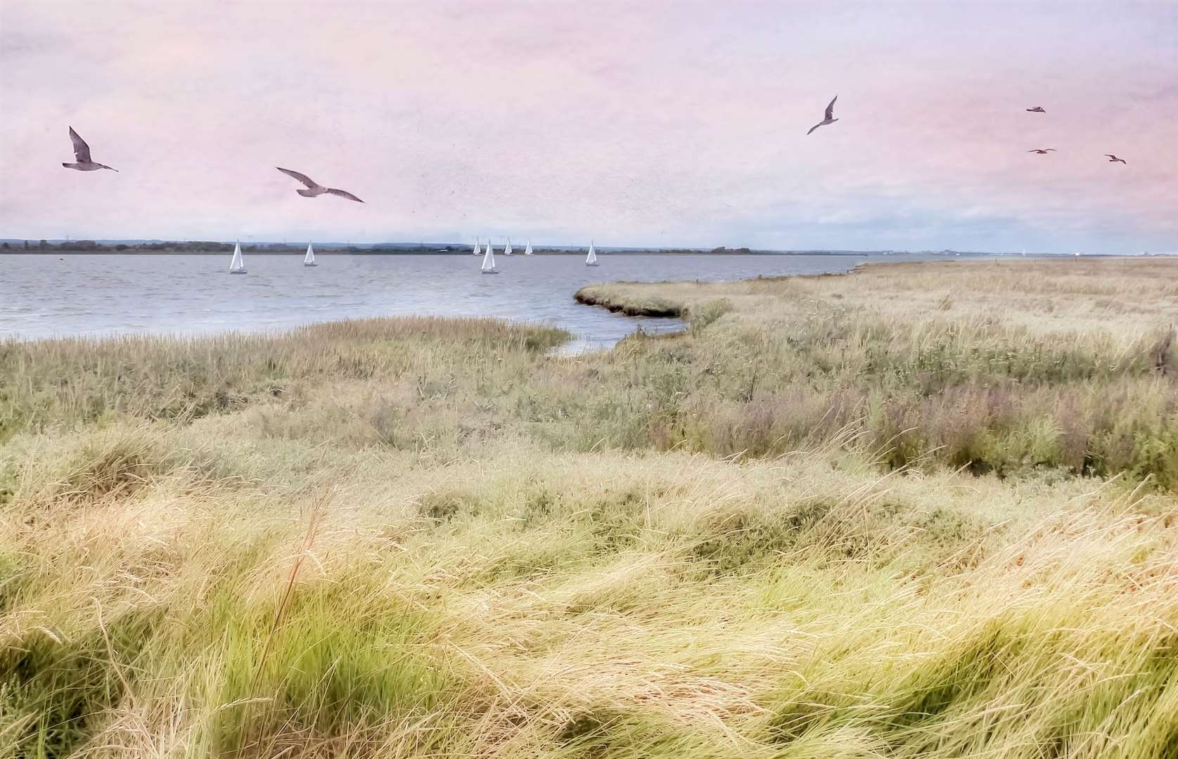 The Isle of Harty has plenty of wildlife to look out for during your bike ride. Picture: iStock