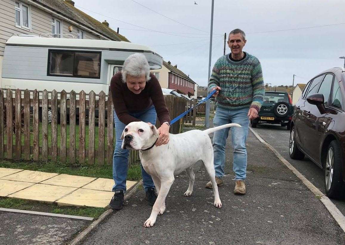 (RSPCA/PA)