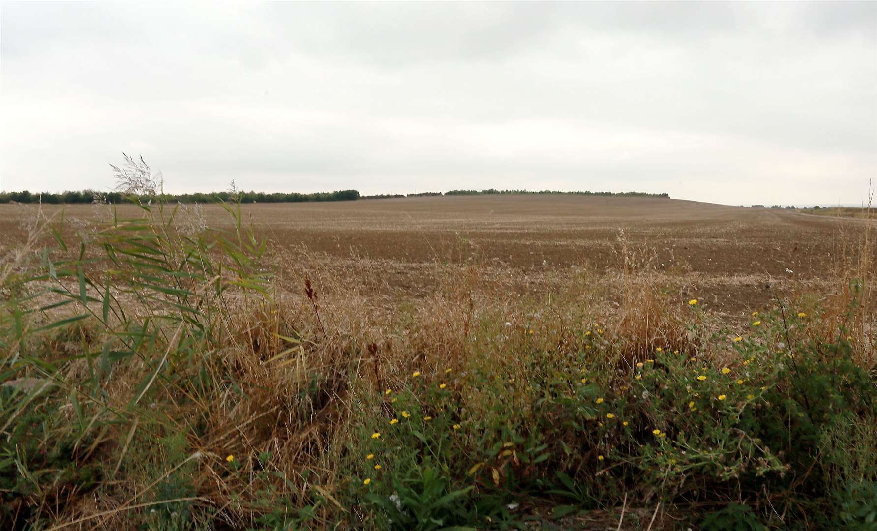 The burial ground is off Harty Ferry Road at Harty, near Elliotts Farm