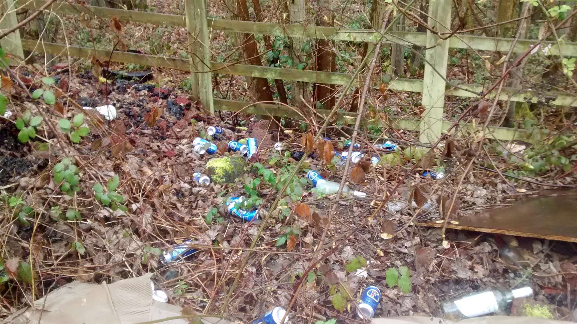 Brewers Road after the rubbish had been cleaned