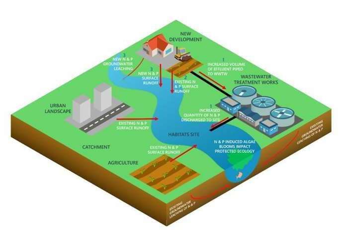 How pollution is getting into Stodmarsh nature reserve