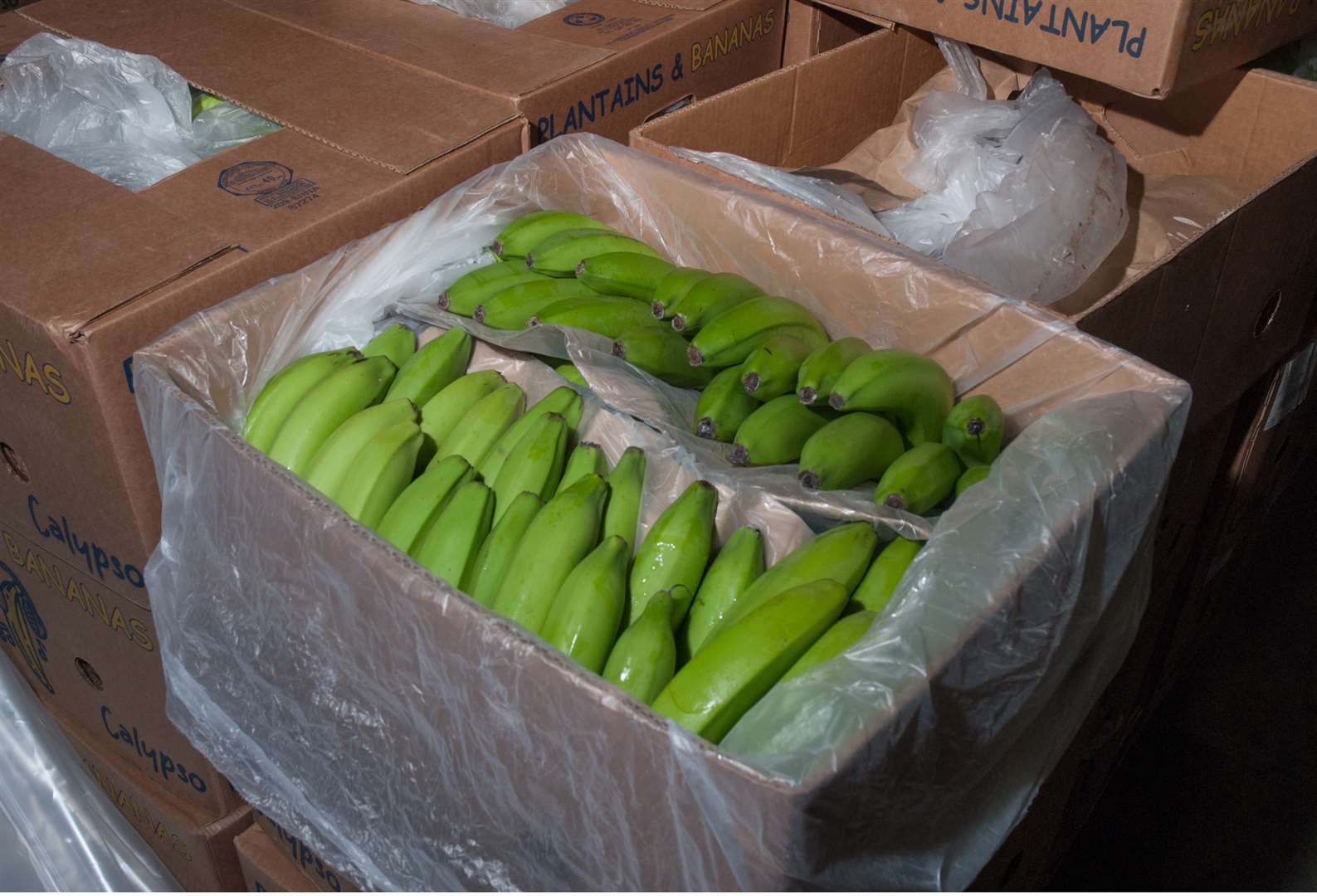 The drugs were found in bananas which arrived at the Port of Dover between May and September 2020 (COPFS/PA)