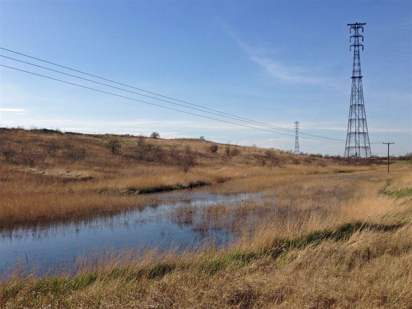 The Swanscombe Marshes were subject to a bid from conservation groups urging to protect the land from development by the London Resort theme park. Picture: Diamond Geezer