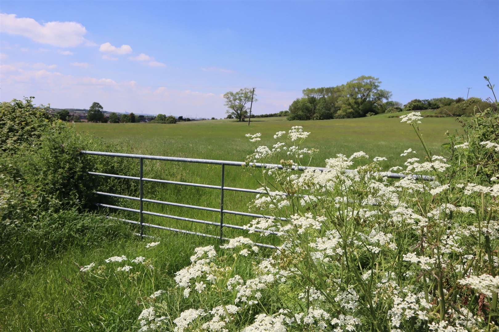 Elm Lane is earmarked for more homes but plans for one development will go to a planning inspectorate after Swale council failed to make a decision in time. Picture: John Nurden