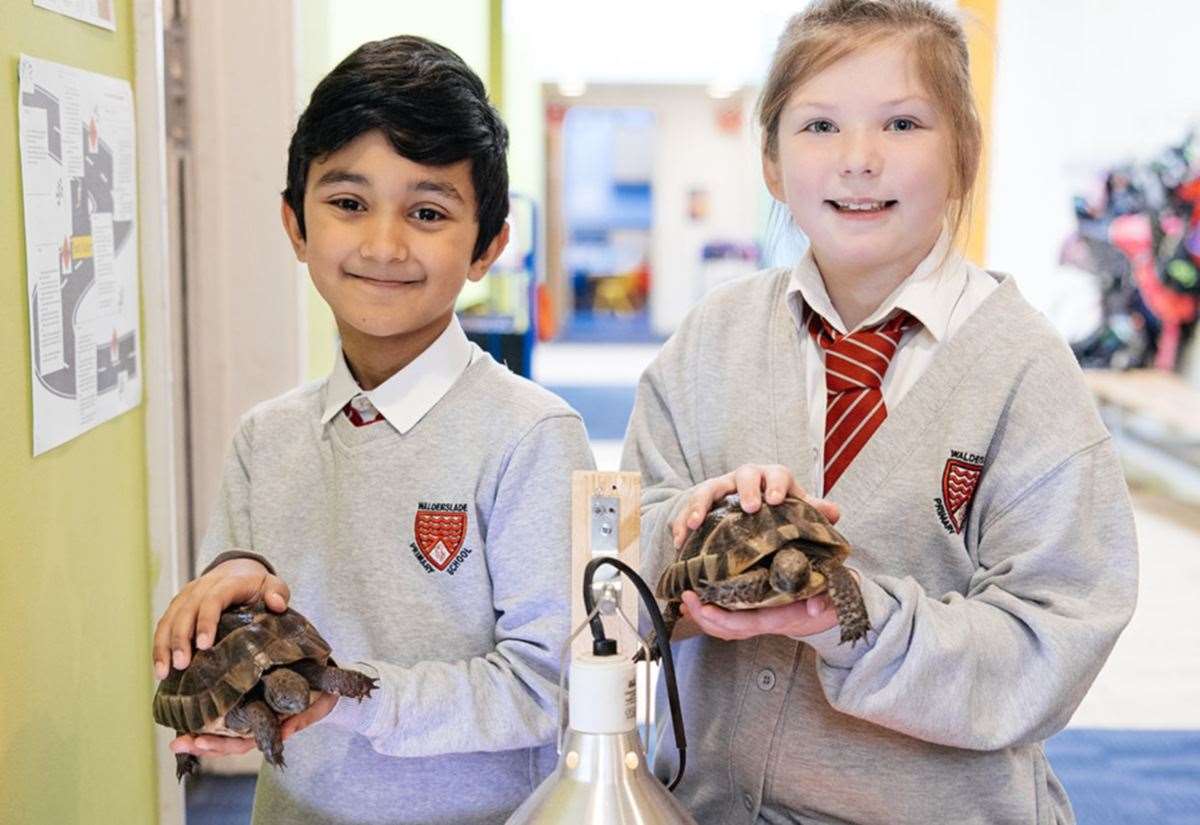 Pupils are said to be "happy" and "joyful". Picture: Walderslade Primary School