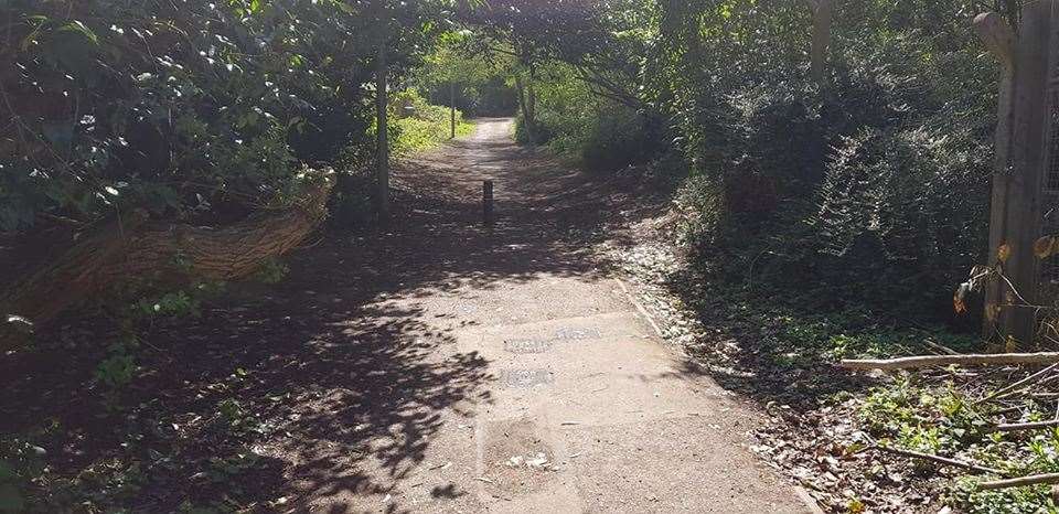 The path into the woodland off Impton Lane. Picture: Jon Ramage