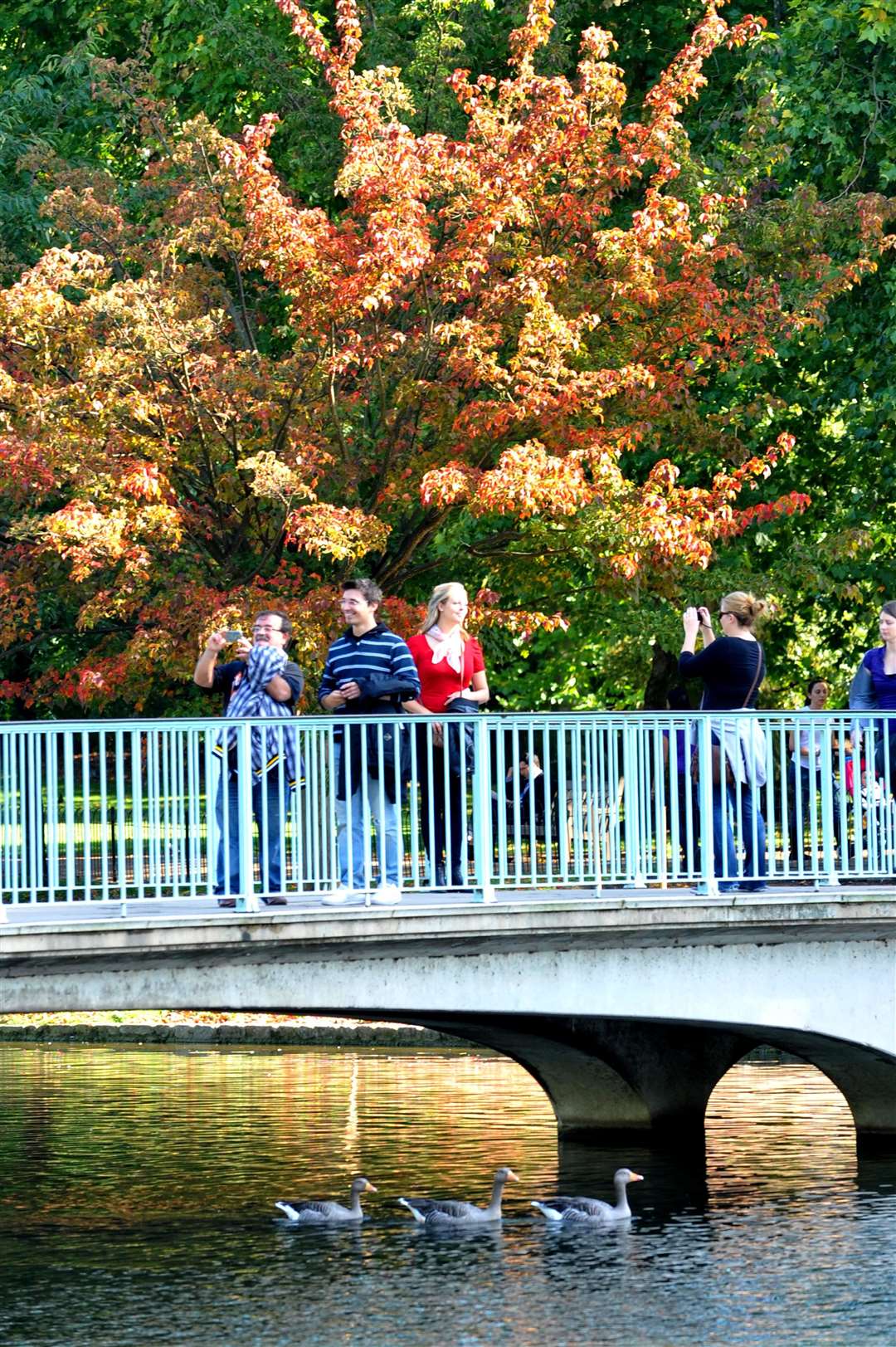 The Blue Bridge in London’s St James’s Park will be replaced as part of the project (Ian Nicholson/PA)