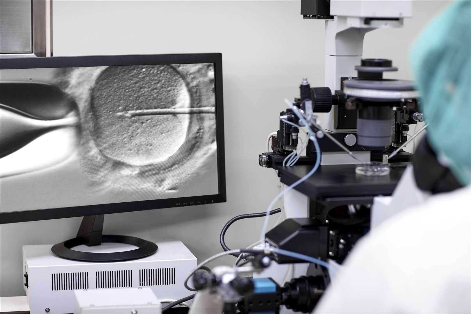Screen showing researcher looking in a microscope fertilising an egg. Intracytoplasmic sperm injection