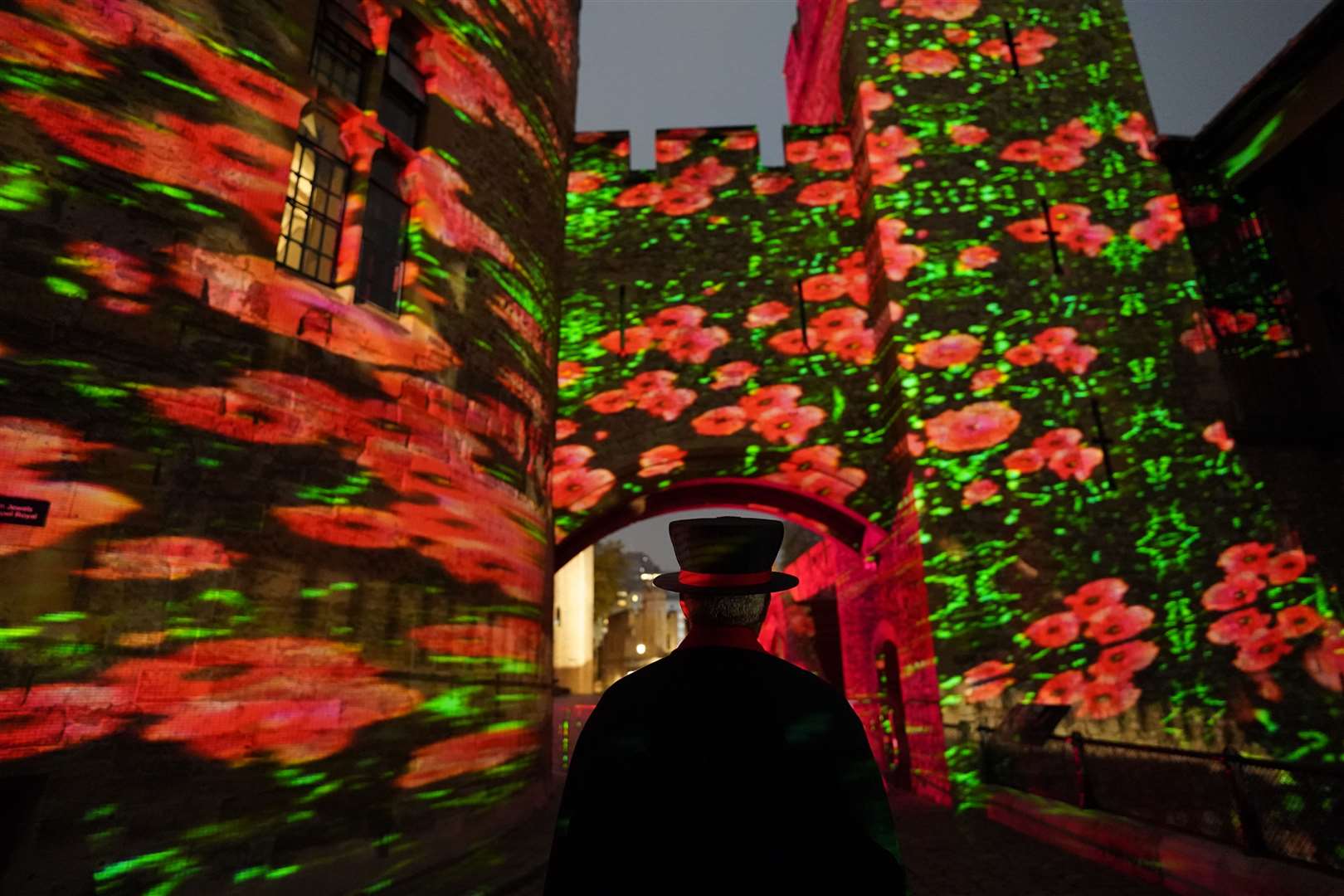 The Poppy Fields At The Tower, a sound and light show over the Remembrance period at the Tower of London (Stefan Rousseau/PA)