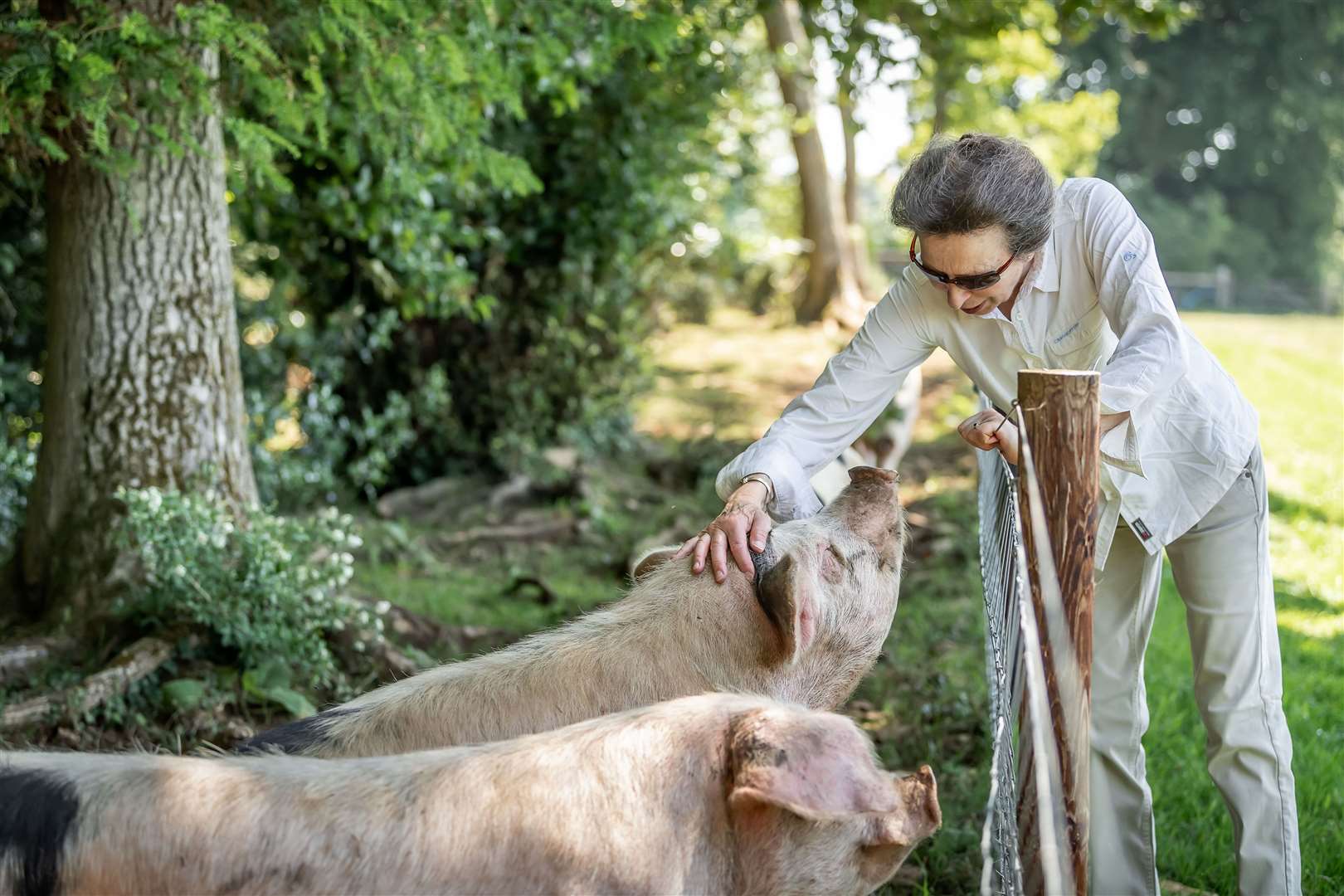 The Princess Royal with Gloucester Old Spot pigs at Gatcombe Park (Country Life/PA)