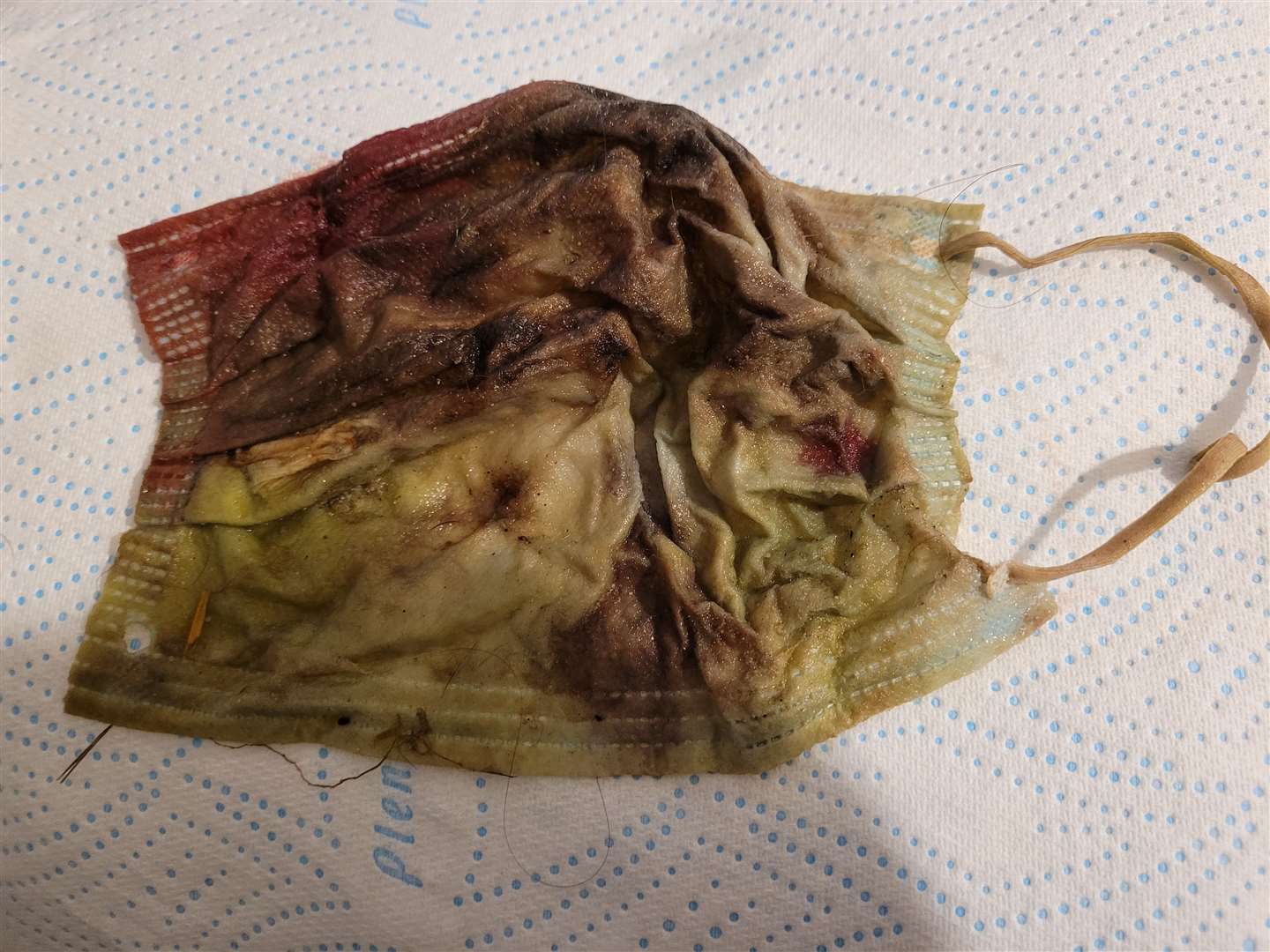 The face mask removed from Milo’s stomach. (PDSA/PA Wire)