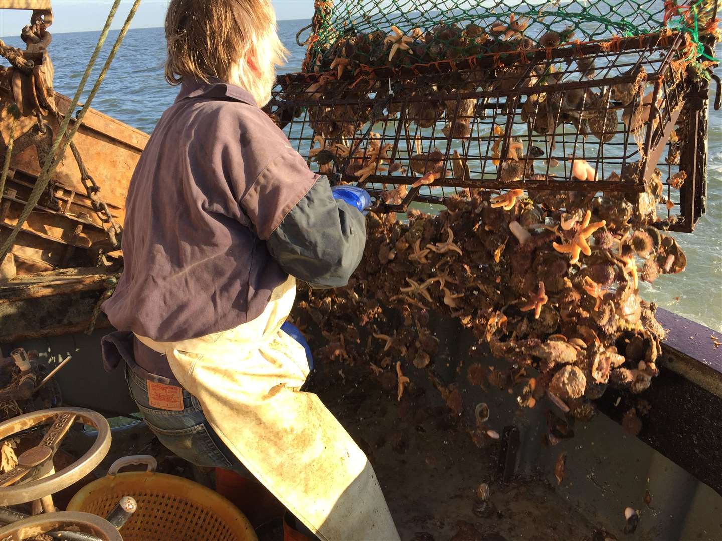 Emptying the dredge