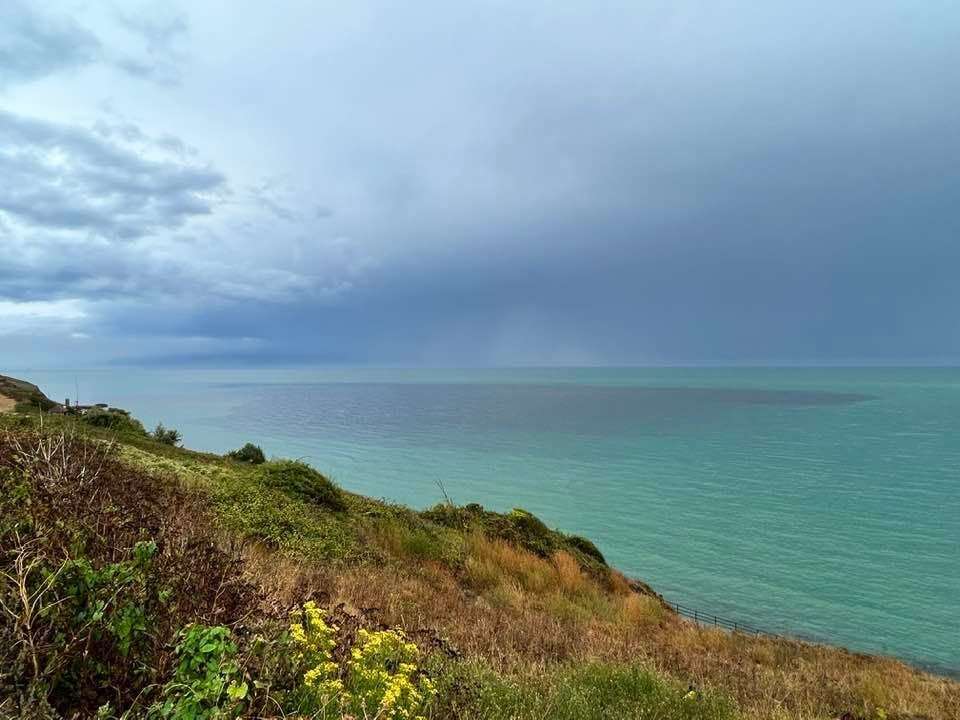 There have been releases across Kent this month. Photo: Martin Stone