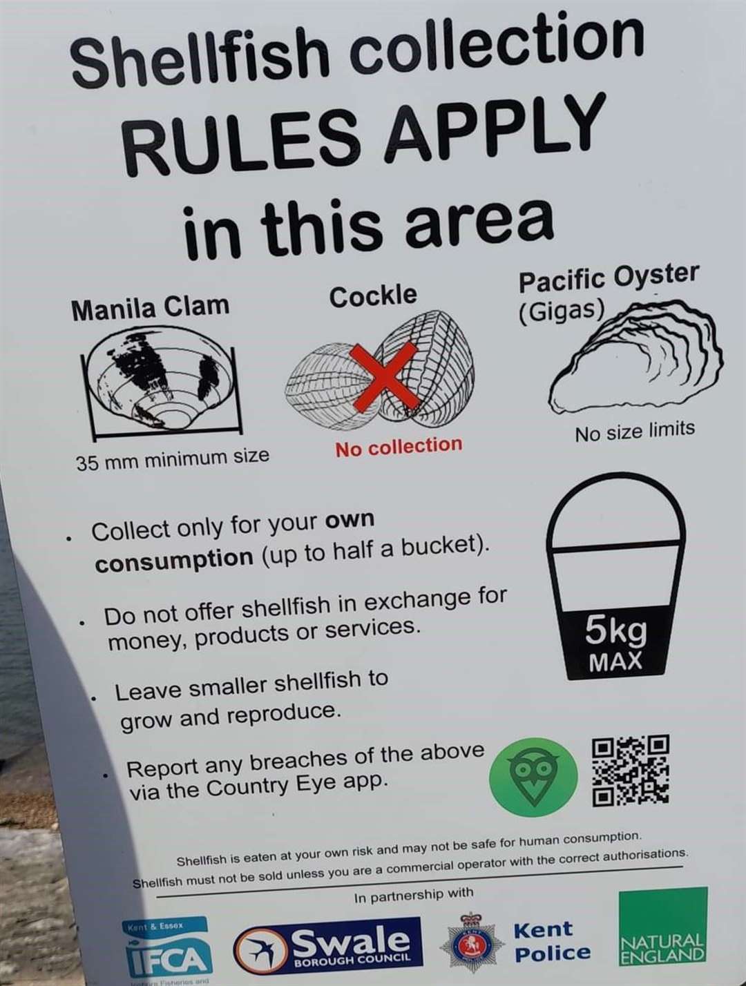 Signs have been installed along the main stretches of shoreline around Sheppey to let the public know if they can or can’t collect shellfish from that beach. Picture: Swale council